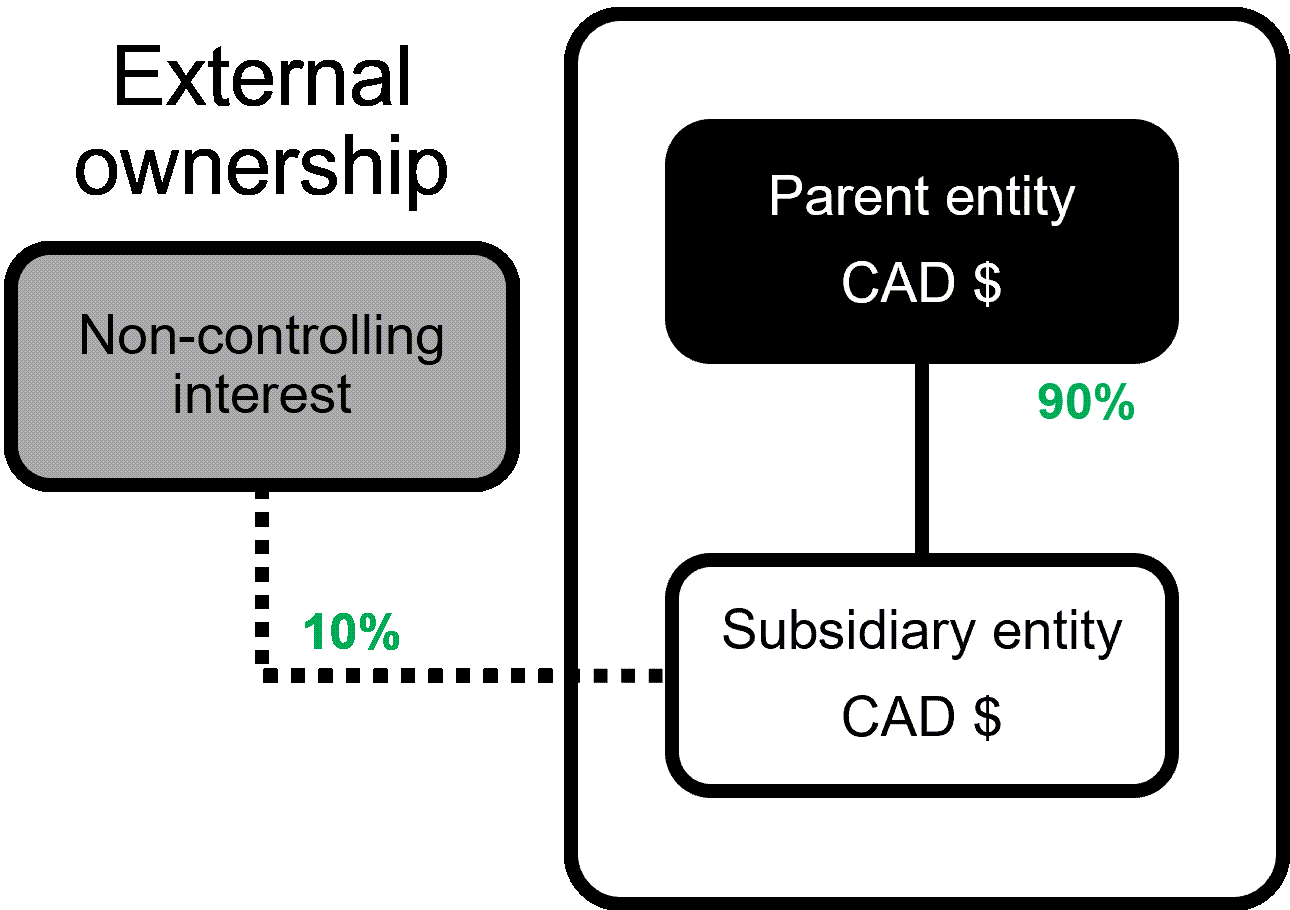 A parent entity holds a controlling interest of 90% of a subsidiary entity. Intacct allocates to an external third party the 10% non-controlling or minority interest. The base currency of both entities is Canadian dollars.